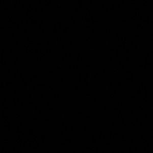 Meet your Posher, Abbie